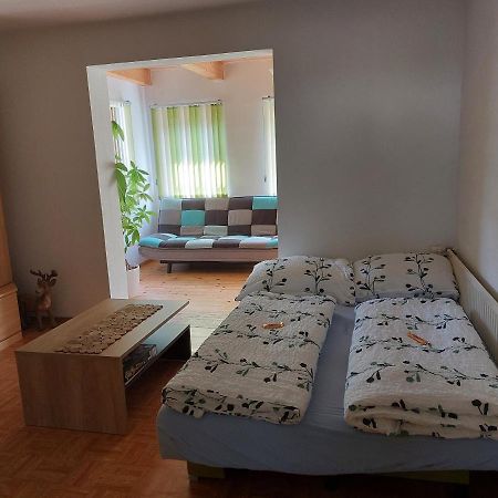 Grimmingapartment Maier Stainach Exteriör bild
