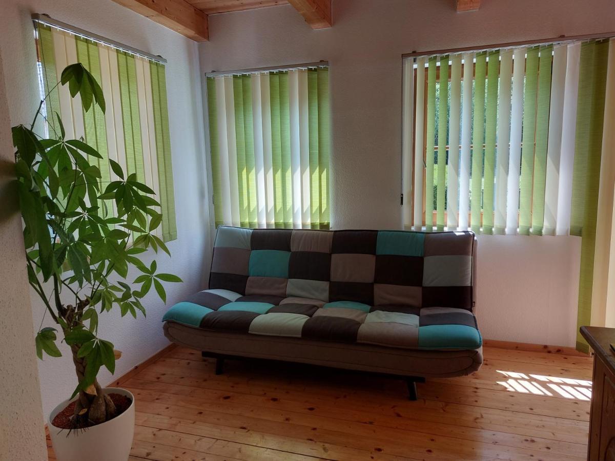 Grimmingapartment Maier Stainach Exteriör bild